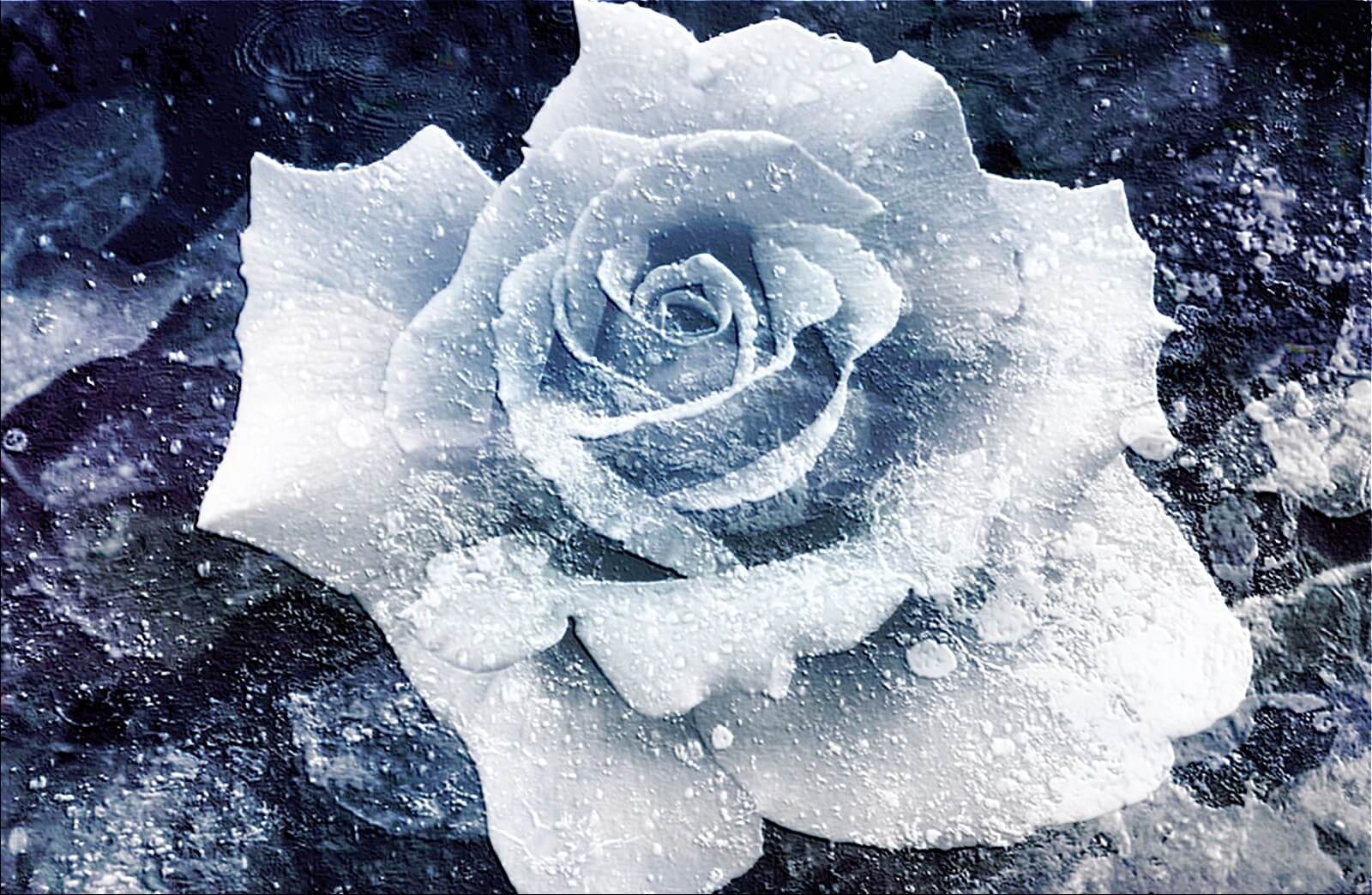 Haiku: a frozen flower | Expressing Life