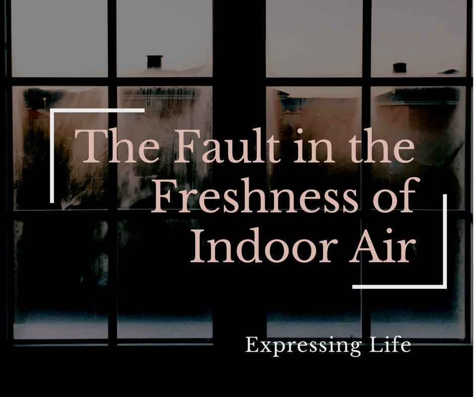 indoor air pollution, how prevent indoor air pollution, causes of indoor air pollution