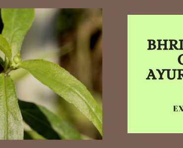 Bhringraj Hair Oil- The Ayurvedic Hair Elixir