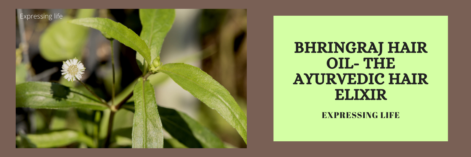 Bhringraj Hair Oil- The Ayurvedic Hair Elixir
